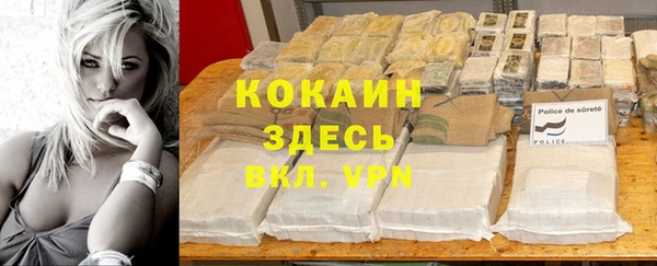 дурь Арсеньев