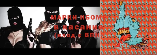 хмурый Алексин